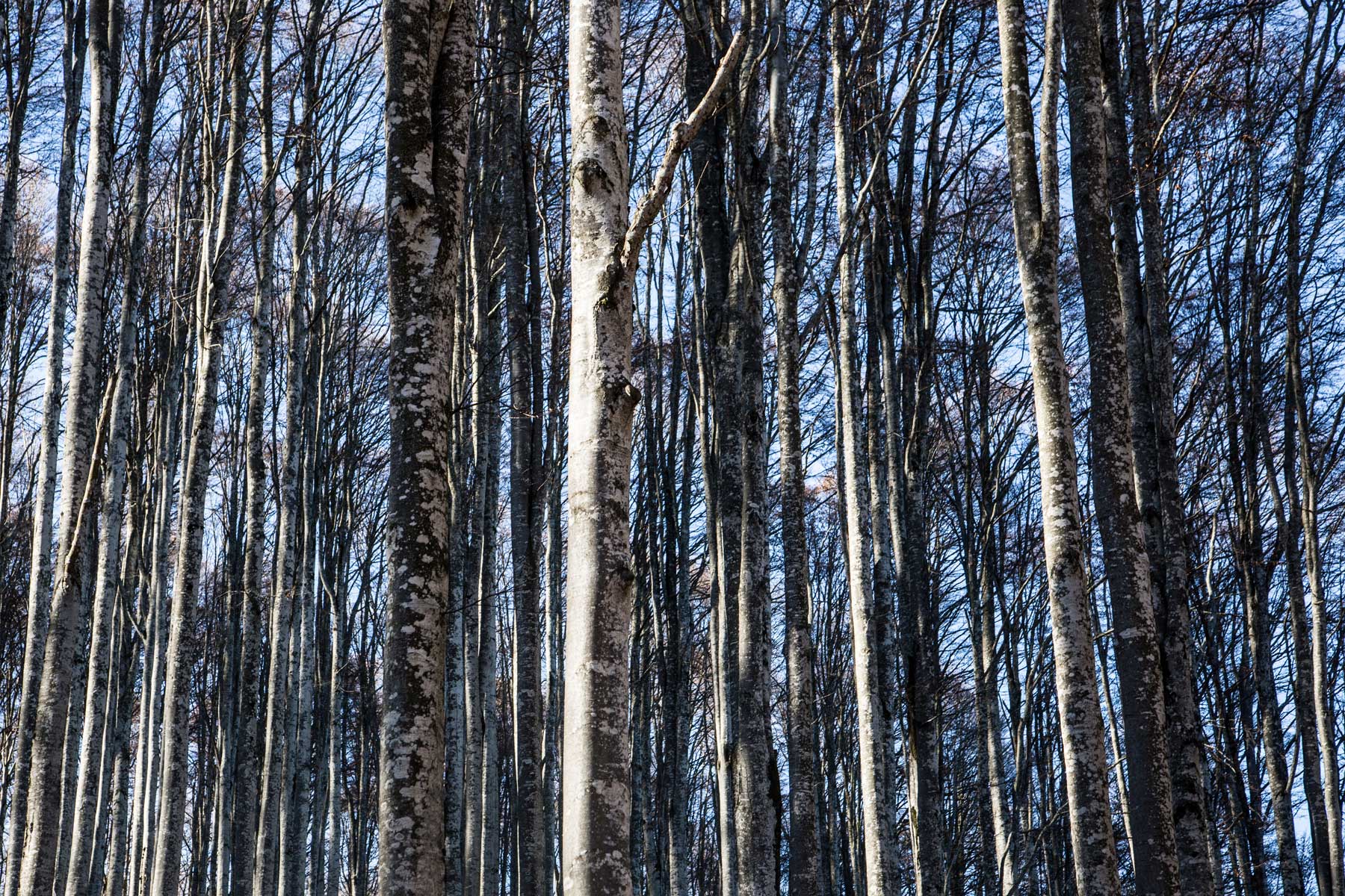 Destinazione “Parco del Cansilio”