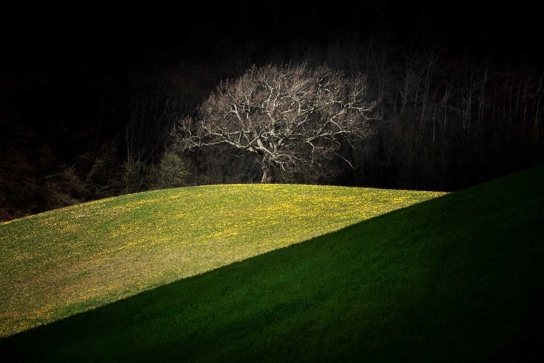 Corso avanzato di fotografia